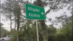 Families of Italian nationals held in Alligator Alcatraz plead for their release