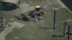 Front-end loader helps zoo elephant get off ground