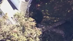 Tree falls onto house in West Roxbury